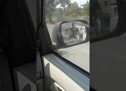 Enlace a Viajando con una serpiente en el retrovisor