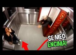 Enlace a Hay un ataúd en el ascensor