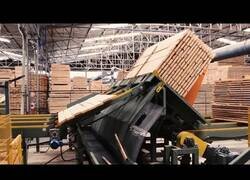 Enlace a Líneas y máquinas automáticas para manipular madera