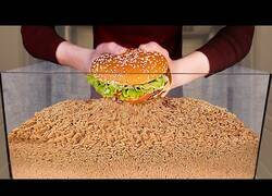 Enlace a ¿Cuánto dura una hamburguesa en una pecera llena de gusanos?
