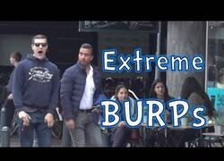 Enlace a Eruptando infernalmente en público