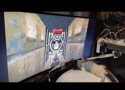 Enlace a Enseñan a ratas a jugar al Doom