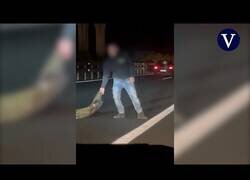 Enlace a Detenido por 'torear' coches en plena autovía