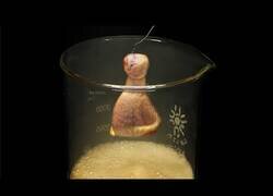 Enlace a ¿Qué pasa si metemos un muslo de pollo en ácido?