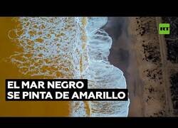 Enlace a Las aguas del Mar Negro se tiñen de amarillo