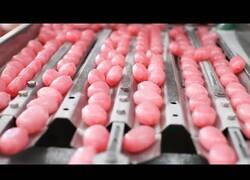 Enlace a Así funcionan las máquinas de procesado de alimentos