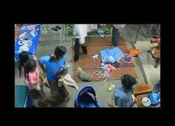 Enlace a Familia entra en pánico al aparecer una serpiente en casa