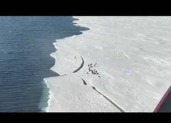 Enlace a Pingüino corriendo en situación límite