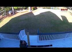 Enlace a Cuando pensabas que eso solo pasaba en los dibujos animados