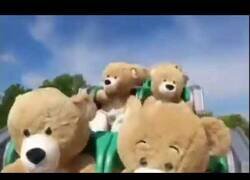 Enlace a En Holanda prueban las montañas rusas con osos de peluche