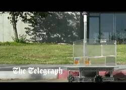 Enlace a La pecera que se mueve según las instrucciones del pez