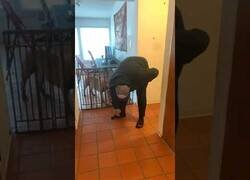 Enlace a ¡Tengo un perro en mis pantalones!