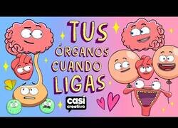 Enlace a Tus órganos del cuerpo cuando ligas