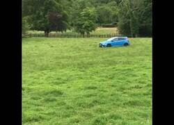 Enlace a El coche pastor