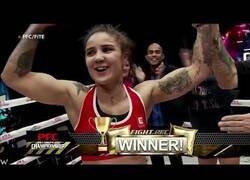 Enlace a Las peleas de almohadas ya tienen competición profesional