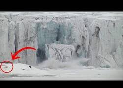 Enlace a Se cae un glaciar al lado de unos osos