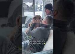 Enlace a Un perro se emociona al recibir muestras de cariño