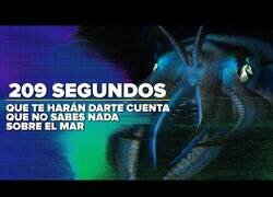 Enlace a 209 segundos que te harán darte cuenta que no sabes nada sobre el mar