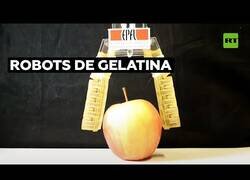 Enlace a Crean robots hechos de gelatina