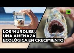 Enlace a ¿Qué son los 'nurdles' y por qué son una amenaza para el medio ambiente?