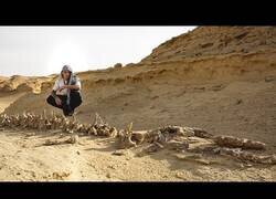 Enlace a El misterio del Valle de las Ballenas