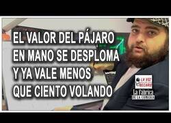 Enlace a El valor del pájaro en mano se desploma en bolsa