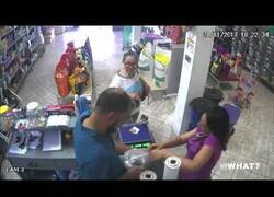 Enlace a Un pájaro roba un billete en una tienda