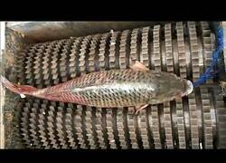 Enlace a Herramientas que dan gusto visual