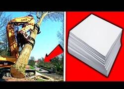 Enlace a ¿Cómo se fabrica el papel?