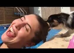 Enlace a Los mejores 'fails' protagonizados por perros