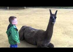 Enlace a Niño, no te acerques a la llama