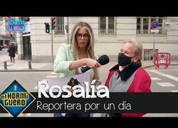 Enlace a Rosalía se hace pasar por reportera por un día