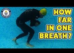 Enlace a El paseo bajo el agua más largo del mundo