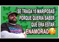 Enlace a Se traga 15 mariposas para saber qué se siente al estar enamorado