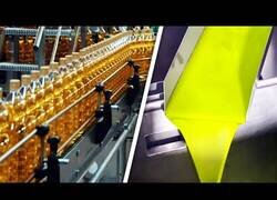 Enlace a ¿Cómo se hace el aceite de oliva?