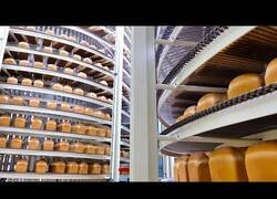 Enlace a ¿Cómo se hace el pan de molde?