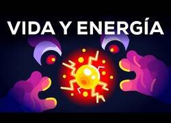 Enlace a ¿Por qué estamos vivos?