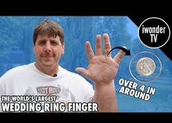 Enlace a El anillo de boda más grande del mundo