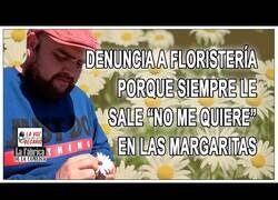 Enlace a Cuando siempre te sale 'no me quiere' deshojando la margarita