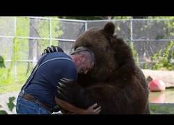 Enlace a La reacción de animales al reunirse con sus dueños