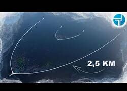 Enlace a La gran limpieza de los océanos ha comenzado