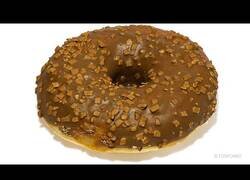 Enlace a ¿Cuánto tarda un donut en descomponerse?