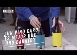 Enlace a Haciendo una cata a ciegas de vinos caros y baratos