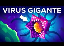 Enlace a El virus que no debería existir pero existe