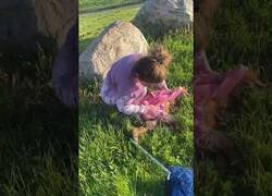 Enlace a Rescatan a un zorro que había caído a un estanque