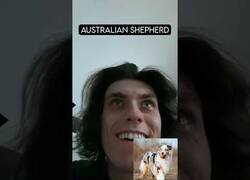 Enlace a ¿Cómo reaccionan las diferentes razas de perro ante un ladrón?