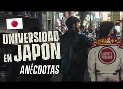 Enlace a Anécdotas de estudiantes en Japón
