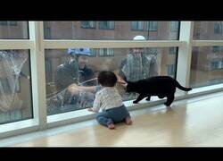 Enlace a Un bebé y un gato juegan con unos limpiacristales