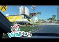 Enlace a Eligiendo el peor momento para cruzar