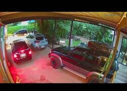 Enlace a Mujeres hacen vida normal en un garaje sin ver que tienen a una enorme pitón al lado